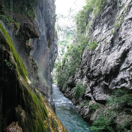 Cares Vakantiehuis *