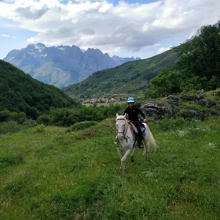 Cares Vakantiehuis *